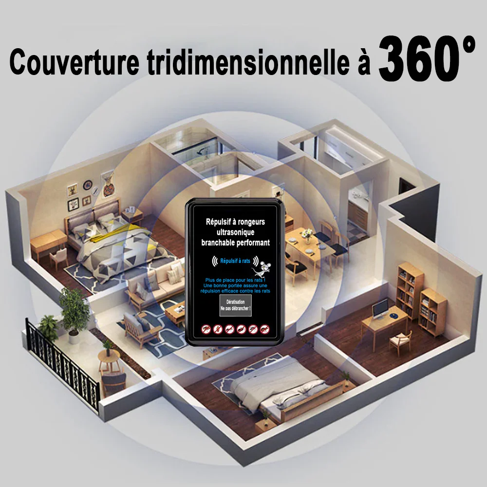 Miniature 5